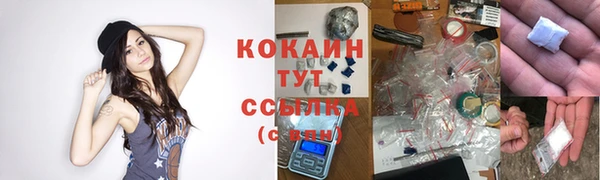 бошки Абаза